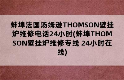 蚌埠法国汤姆逊THOMSON壁挂炉维修电话24小时(蚌埠THOMSON壁挂炉维修专线 24小时在线)